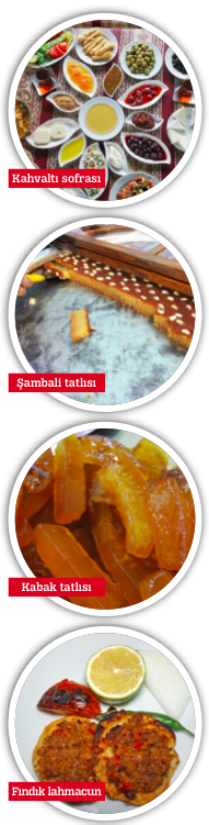 Tarsus mutfağı dünyaya açılıyor